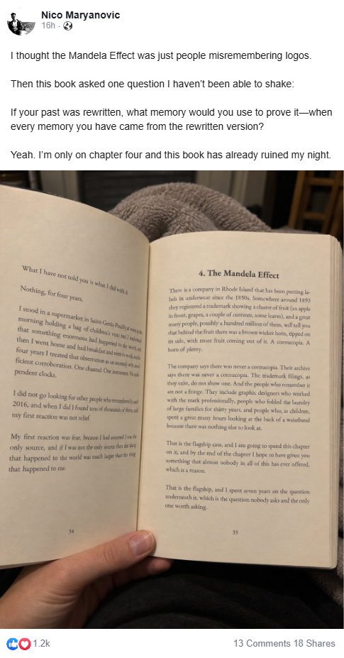 Testimonial by Nico Maryanovic about The Overwritten Timeline with a photograph of the book.